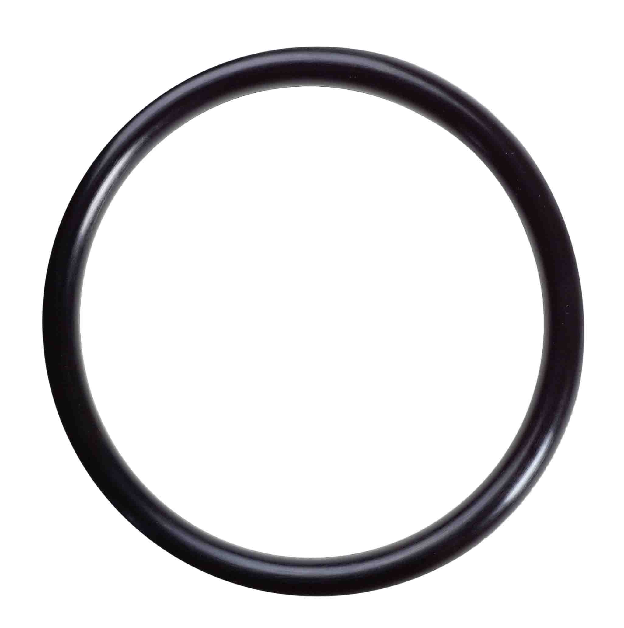 am151120 - Pentek Ametek Standard O-Ring
